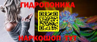 амф Гай