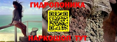 мяу мяу мука Аргун