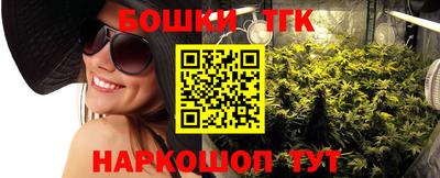 мяу мяу мука Аргун