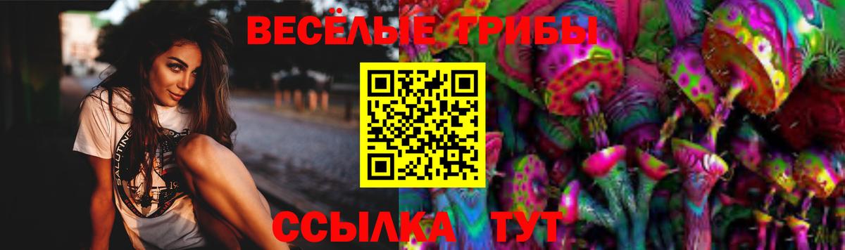 Галлюциногенные грибы мицелий Горячий Ключ